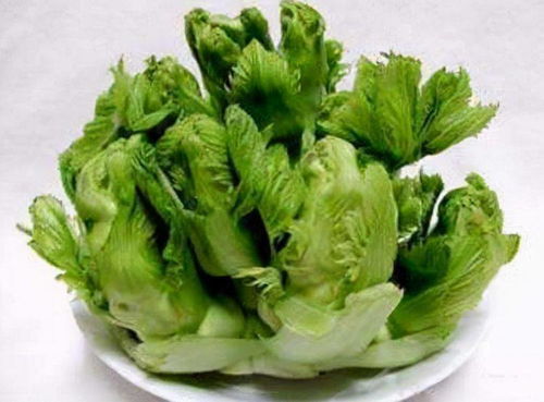 十字花科蔬菜的除草难题