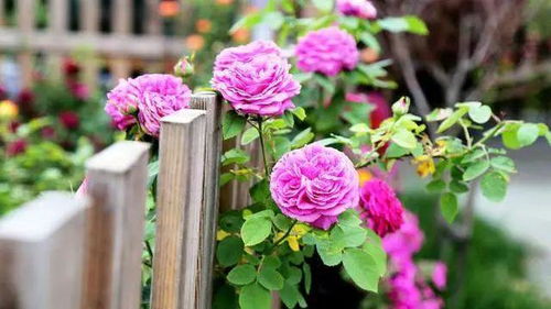 注意事项， 别大意