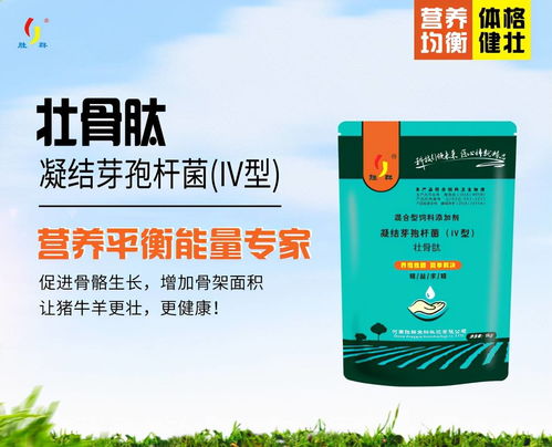 快速催肥饲料配方育肥期增重慢，有哪些三招突破方案能显著提高增重效果？