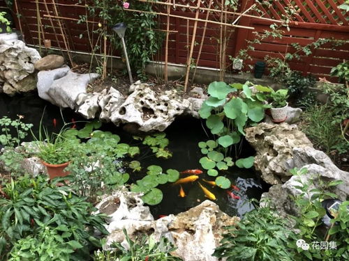 建立平衡态系统， 确保物互利共生