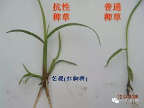 排水回水为何这么麻烦