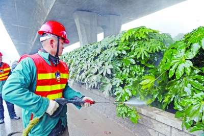 汽车尾气的困扰：如何应对桥下空气质量