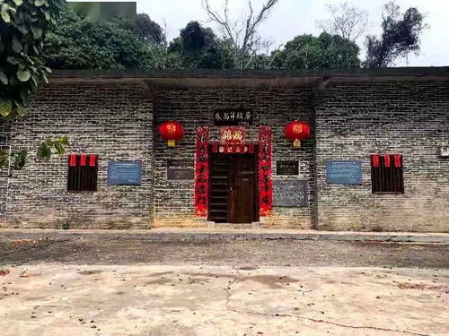 龙骨花摆客厅好？小心别摆这些地方