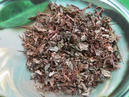 新鲜鱼腥草翠绿欲滴，干鱼腥草如何