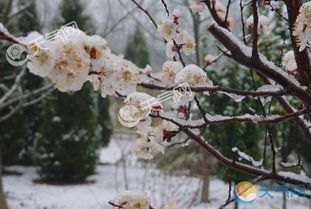 南方早春，北方晚夏