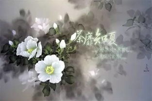 茶糜子， 一种古老而神秘的植物