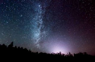 繁星花上长毛，为何密布如绒
