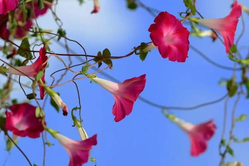 人工干预的挑战