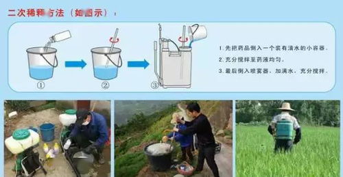 注意事项：百菌清的贴心小贴士