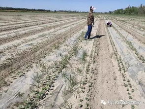 降解速度，这可是关键！
