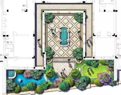 庭院野地种紫花，全年绽放的秘密