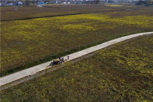 因地制宜， 发展特色