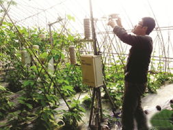 控温控光大法好