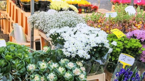 花卉市场的消费群体分析