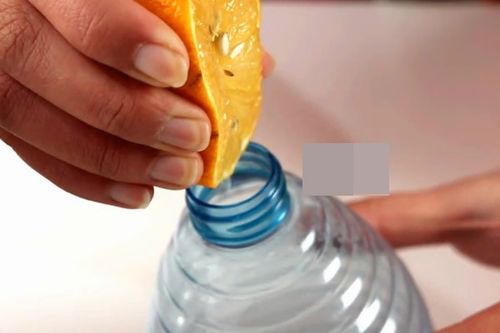 第四步：焯水去残留