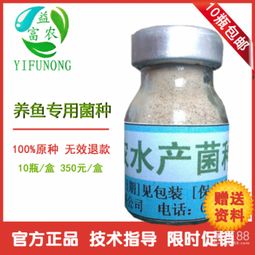 饲料组合优化，提升营养吸收