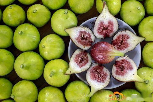 无花果属于秋季水果，因其果实成熟时正值秋季而得名