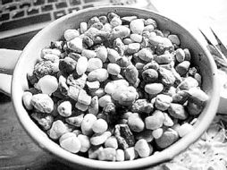 柚子种子泡三天还没发芽，是不是种子坏了或着泡水时间不够？