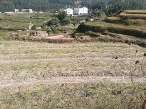 化学除草剂对环境的影响与对策