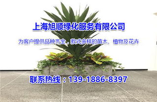 染后是室外绿化