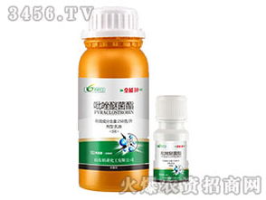 19种剂型混战， 这可是热闹了