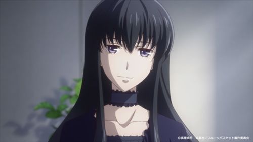 美咲抚子：抗病性强， 花型精致