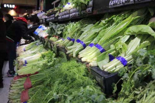 播种时间和注意事项