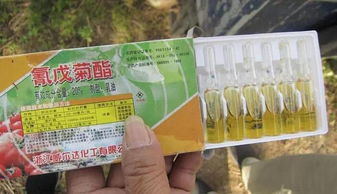 白色杀虫剂的用途与传说