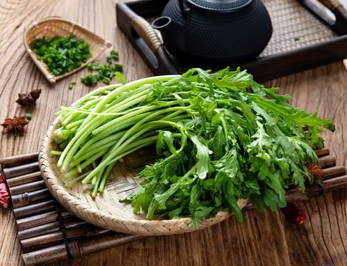 青菜类和豆类， 采收和防治病虫害