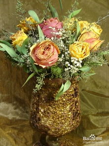 月季干花的制作， 美丽长存的小秘诀