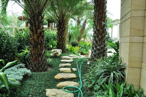 麦冬每平方米种植多少株？