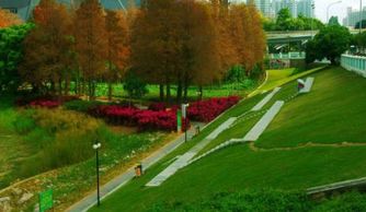 环保意识崛起，园林绿化行业迎来新变革