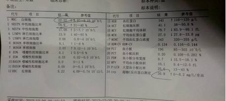 乳猪蛋白摄入黄金比例是多少？90%新手忽略的配比，如何让日增重飙升23%？