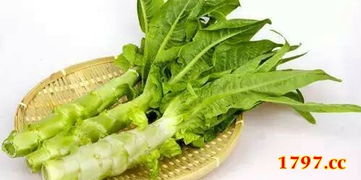 先说说我们要选啥菜呢？