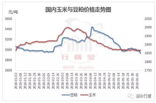 2025年饲料原料价格会触底反弹吗？豆粕暴跌、玉米走势关键节点预测，养殖户如何操作？