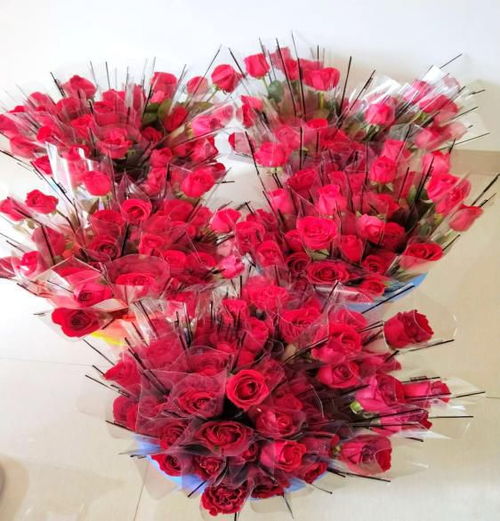 乱糟糟的玫瑰花价格