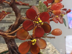 养护梅花盆景的小贴士