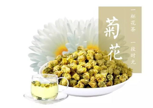 桂花、玫瑰、菊花，泡茶三合一