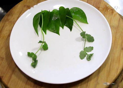 紫苏叶别直接炒，还有哪些美味吃法