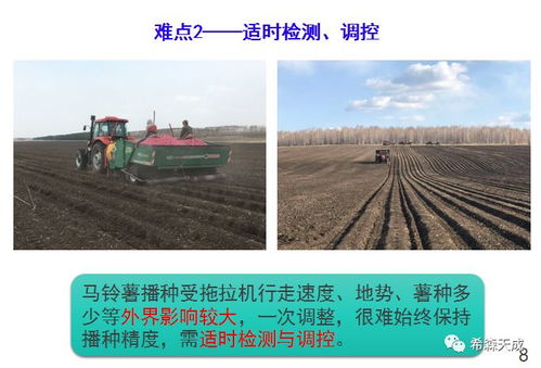 种植补贴与碳汇收益