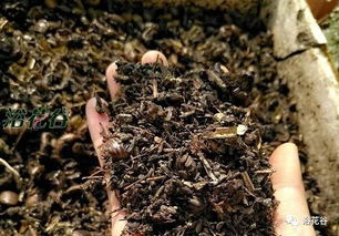 中药渣能否直接用作花肥，对植物生长有好处吗