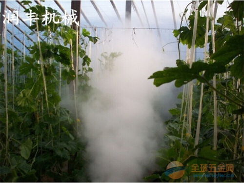 雾化效果咋样？