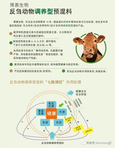 饲料级酵母脂肪含量对饲料酵母的组成和用途有何影响？