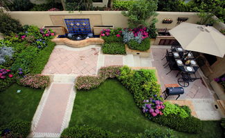 庭院种植：小院也有大风景