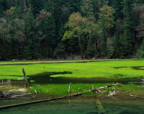 风光多变：地理景观的丰富多彩