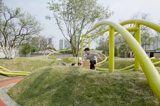 光照条件要考虑