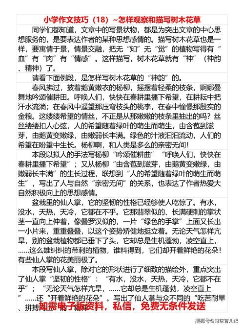 花草树木的奇妙世界