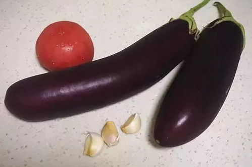 茄子怎么种？什么时间种
