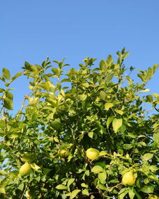 间距， 这是个技术活