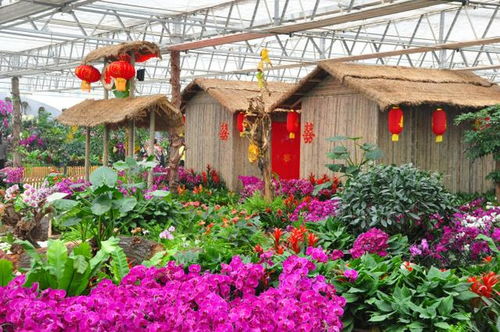 北京植物园的对比实验